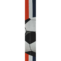 Balboa (DC549) Cooldanna&Reg;, Cotton, Soccer (Auto PN 830828)