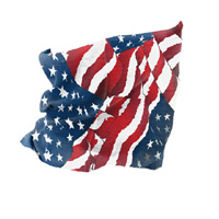 Balboa (T265) Motley Tube&Trade;, Polyester, Wavy American Flag (Auto PN 830917)