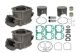SPI STANDARD CYLINDER KIT