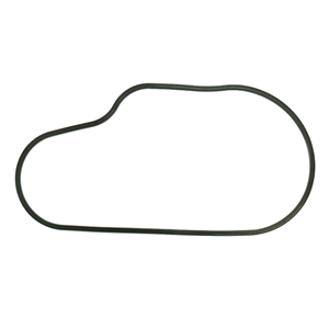 SPI CHAINCASE GASKET