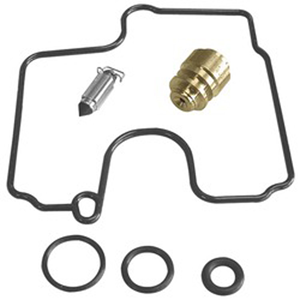 CARB REP KIT:SUZ GS500 04-06