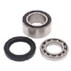 SNOWMOBILE CHAIN CASE BEARING & SEAL KIT