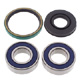 SNOWMOBILE CHAIN CASE BEARING & SEAL KIT