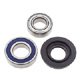 SNOWMOBILE CHAIN CASE BEARING & SEAL KIT