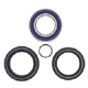 ALL BALLS WHEEL BEARING KIT