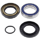 ALL BALLS WHEEL BEARING KIT