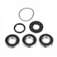 PIVOT WORKS-REAR WHEEL BEARINGKIT, POLARIS