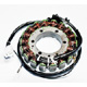 RICK'S ELECTRIC, OE STYLE STATOR