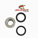 ALL BALLS WHEEL BEARING KIT