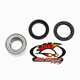 ALL BALLS WHEEL BEARING KIT