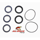 ALL BALLS WHEEL BEARING KIT