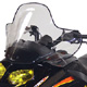 COBRA WINDSHIELD SKI-DOO REV TINT