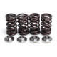 KIBBLEWHITE VALVE SPRING KIT .440" LIFT