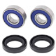 All Balls Front Wheel Bearing Kit Replacement - Image 251
