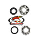 All Balls Crank Shaft Bearing Kit - Image 43