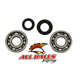 All Balls Crank Shaft Bearing Kit - Image 33