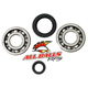 All Balls Crank Shaft Bearing Kit - Image 34