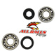 All Balls Crank Shaft Bearing Kit - Image 38