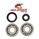 All Balls Crank Shaft Bearing Kit - Image 40