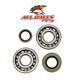 All Balls Crank Shaft Bearing Kit - Image 44
