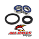 All Balls Front Wheel Bearing Kit Replacement - Image 227