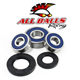 All Balls Front Wheel Bearing Kit Replacement - Image 224
