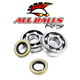 All Balls Crank Shaft Bearing Kit - Image 51