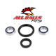All Balls Front Wheel Bearing Kit Replacement - Image 250
